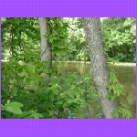 Biking Along The River.jpg